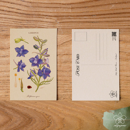 Larkspur - July Birth Flower Postcard