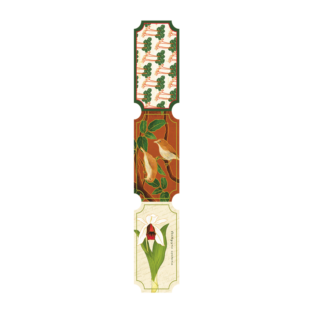Transient Lifeforms in the Garden Ticket Strips Collection