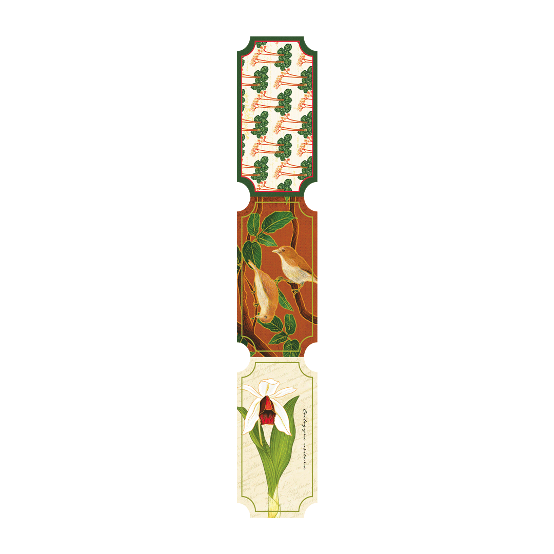Transient Lifeforms in the Garden Ticket Strips Collection