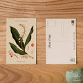 Lily of the Valley - May Birth Flower Postcard