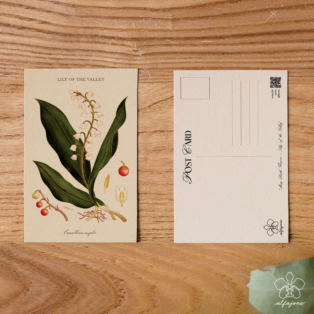 Lily of the Valley - May Birth Flower Postcard