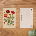 Marigold - October Birth Flower Postcard