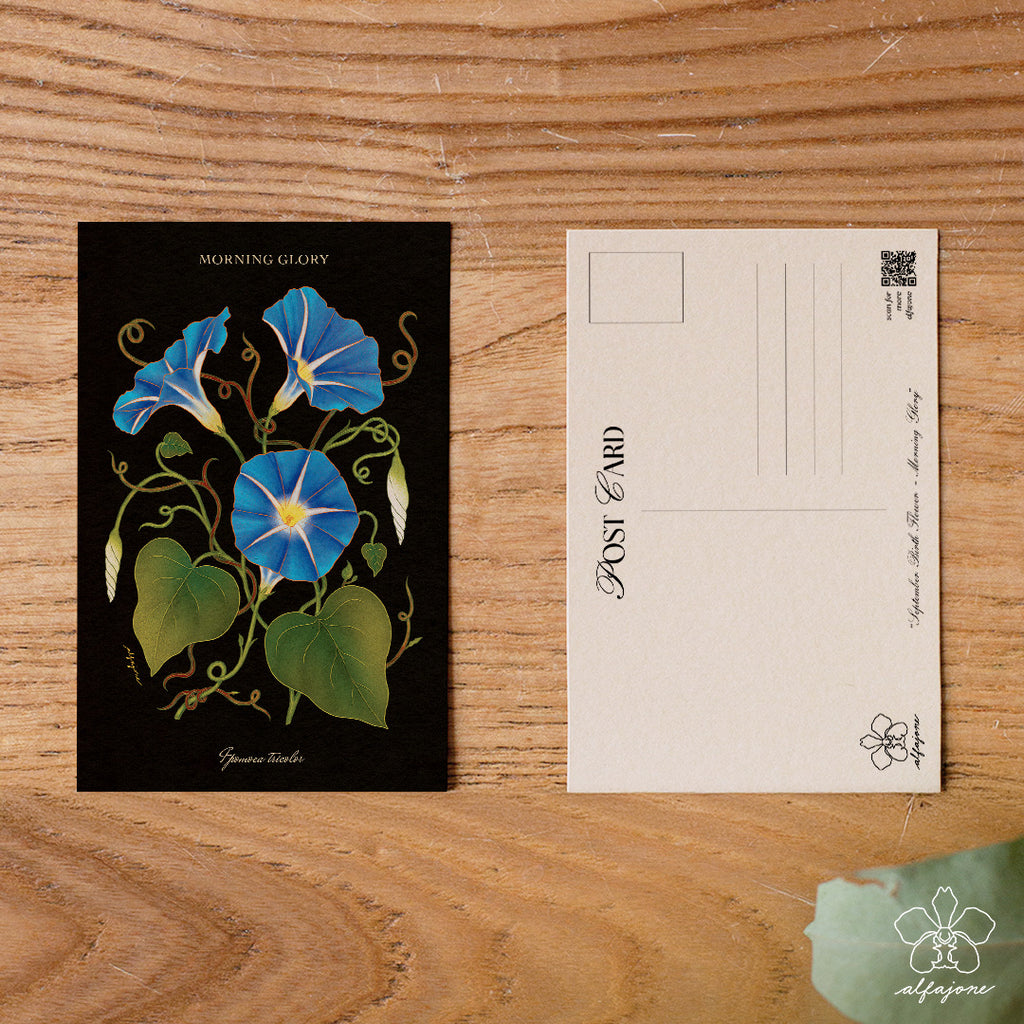 Morning Glory - September Birth Flower Postcard
