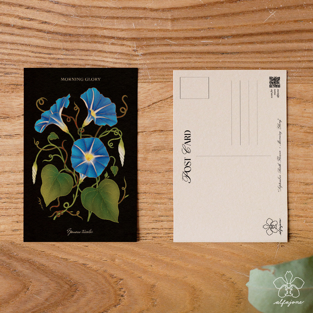 Morning Glory - September Birth Flower Postcard