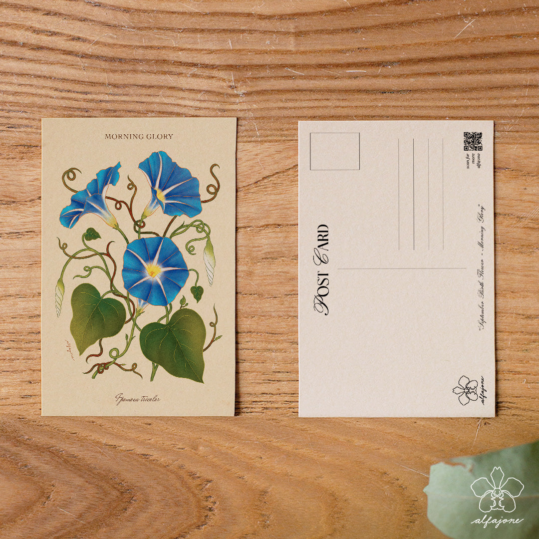 Morning Glory - September Birth Flower Postcard