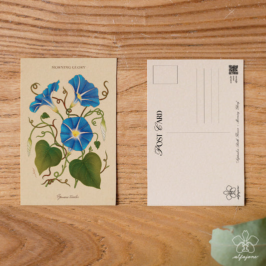Morning Glory - September Birth Flower Postcard