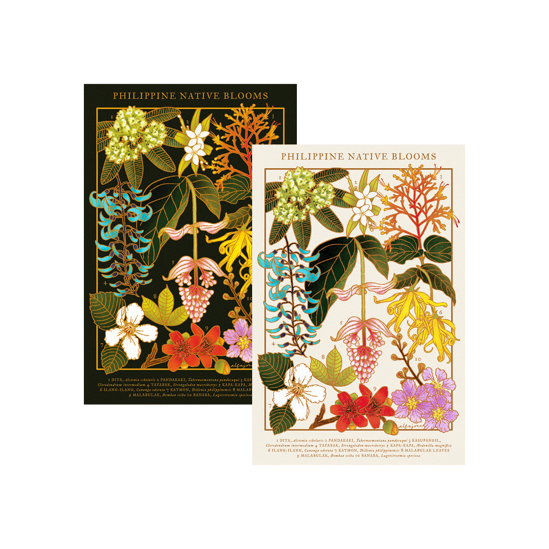 Philippine Native Blooms Postcard