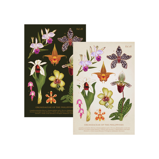 Philippine Orchidaceae Vol. 1 Postcard