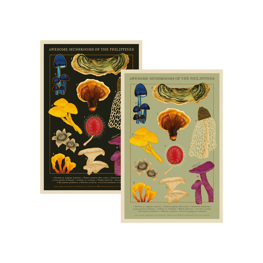 Awesome Mushrooms of the Philippines Postcard