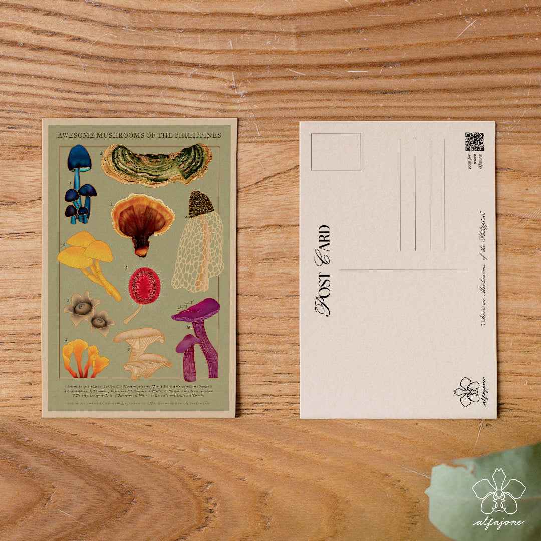 Awesome Mushrooms of the Philippines Postcard
