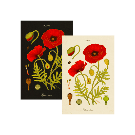 Poppy - August Birth Flower Postcard