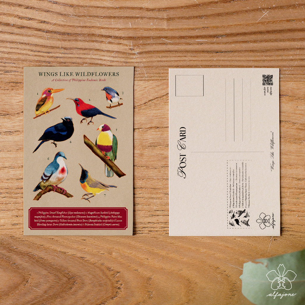Wings like Wildflowers Postcard