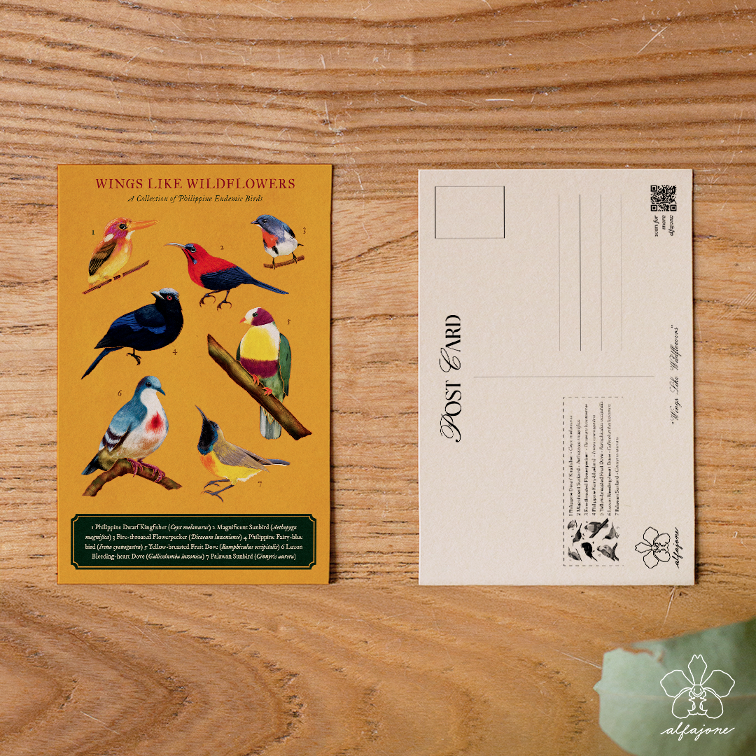 Wings like Wildflowers Postcard