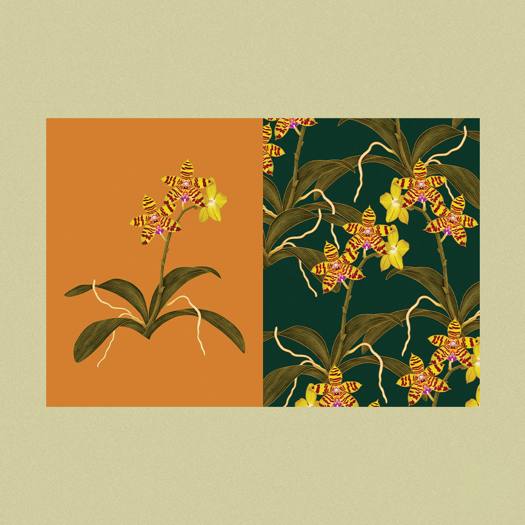 Transient Lifeforms Tearable Prints